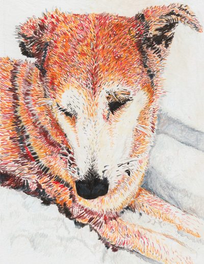 "SierraTheMountainDog", 2020, color pencil on archival paper, 9.5” x 7”
